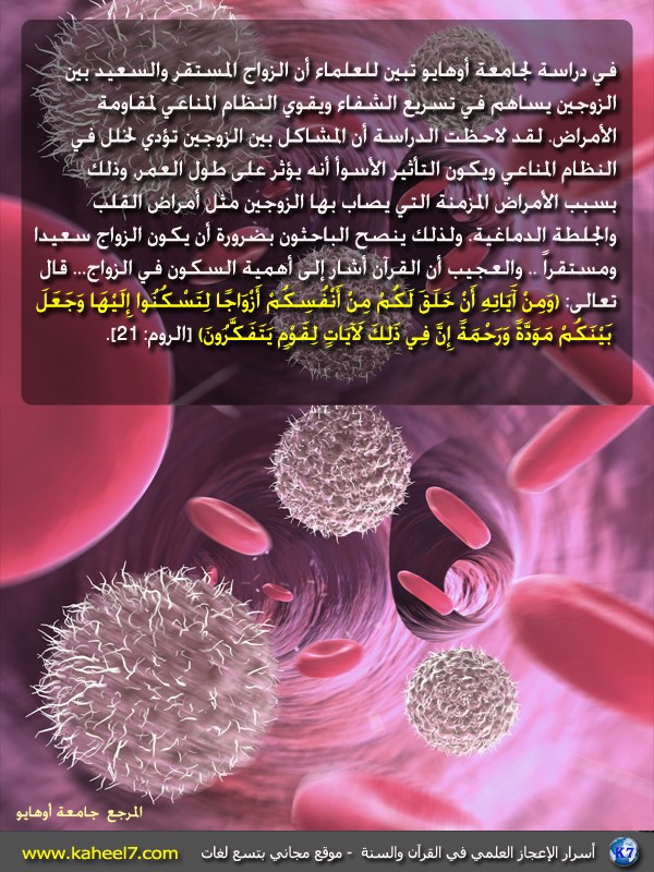 الزواج السعيد 2342342%282%29