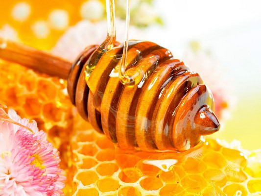 حقائق علمية العسل  